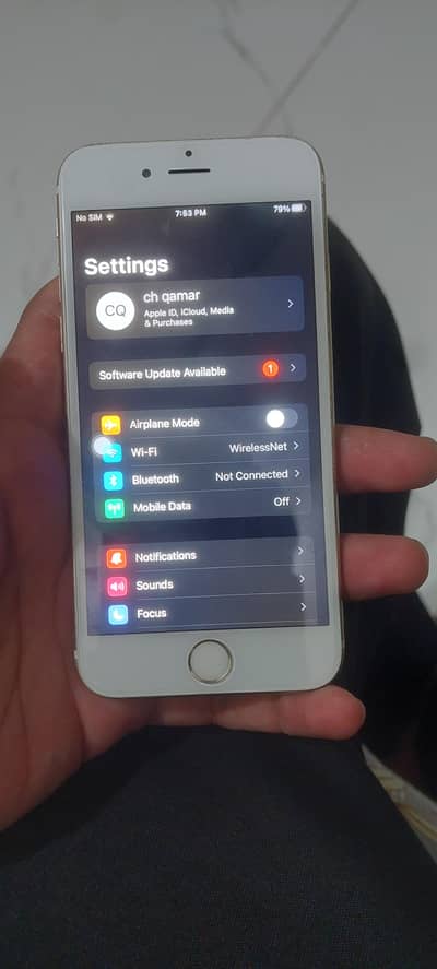 Apple iPhone 6S
