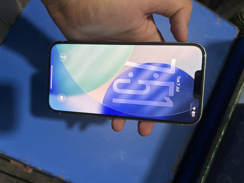 iPhone 13 Pro Max fix rate 9