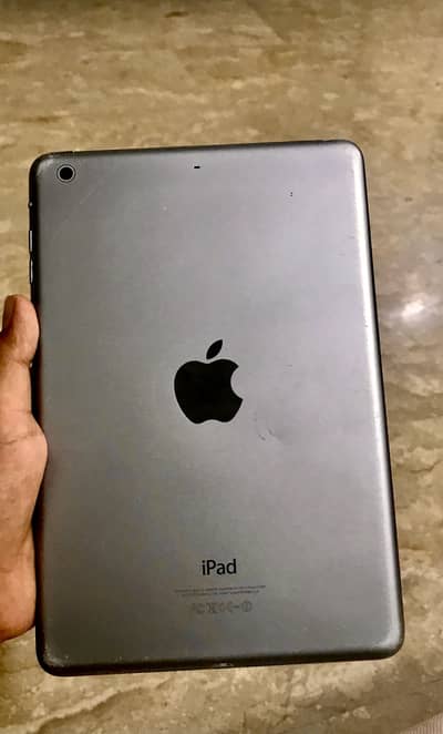 Mini 2