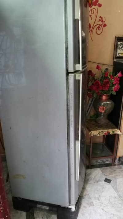 jumbo size largest fridge