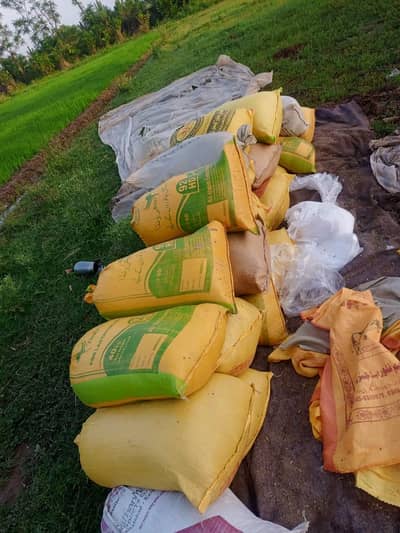 Silage for sale