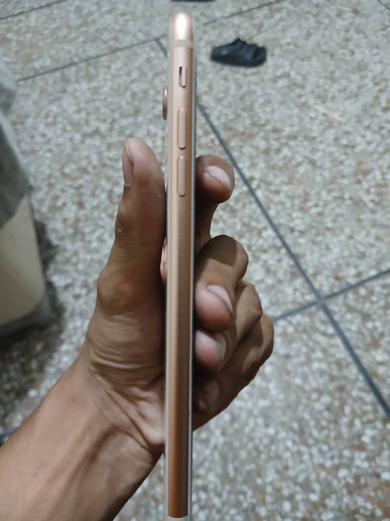 Apple iPhone 8 Plus 2