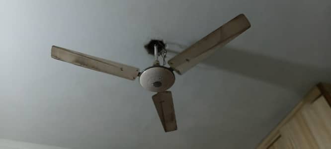 celling fan