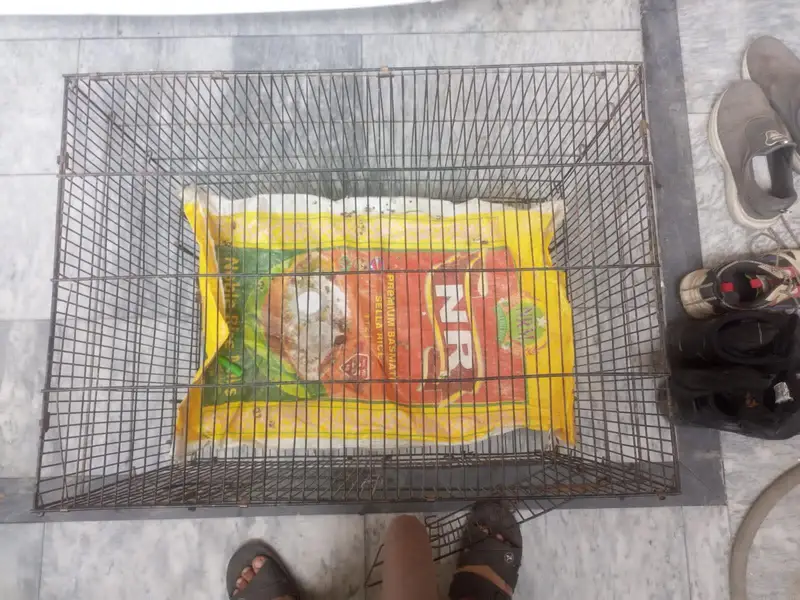 Parrot  cage — photo 5
