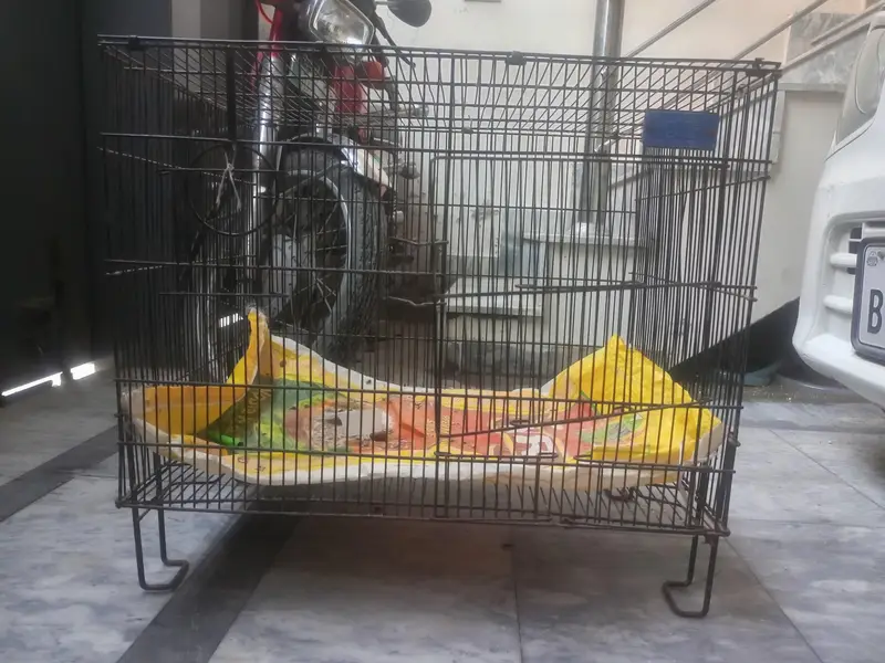 Parrot  cage — photo 6