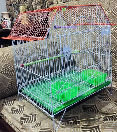 Bird Cage