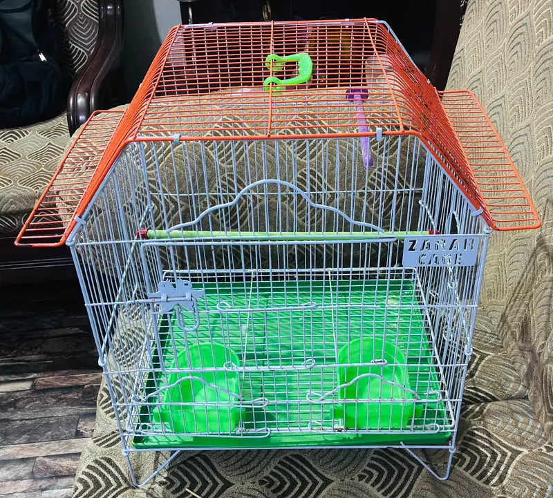 Bird Cage — photo 3