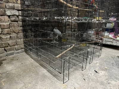 4×4 cages
