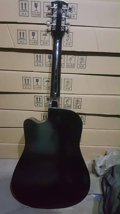 guitar for proffesionals and beginners