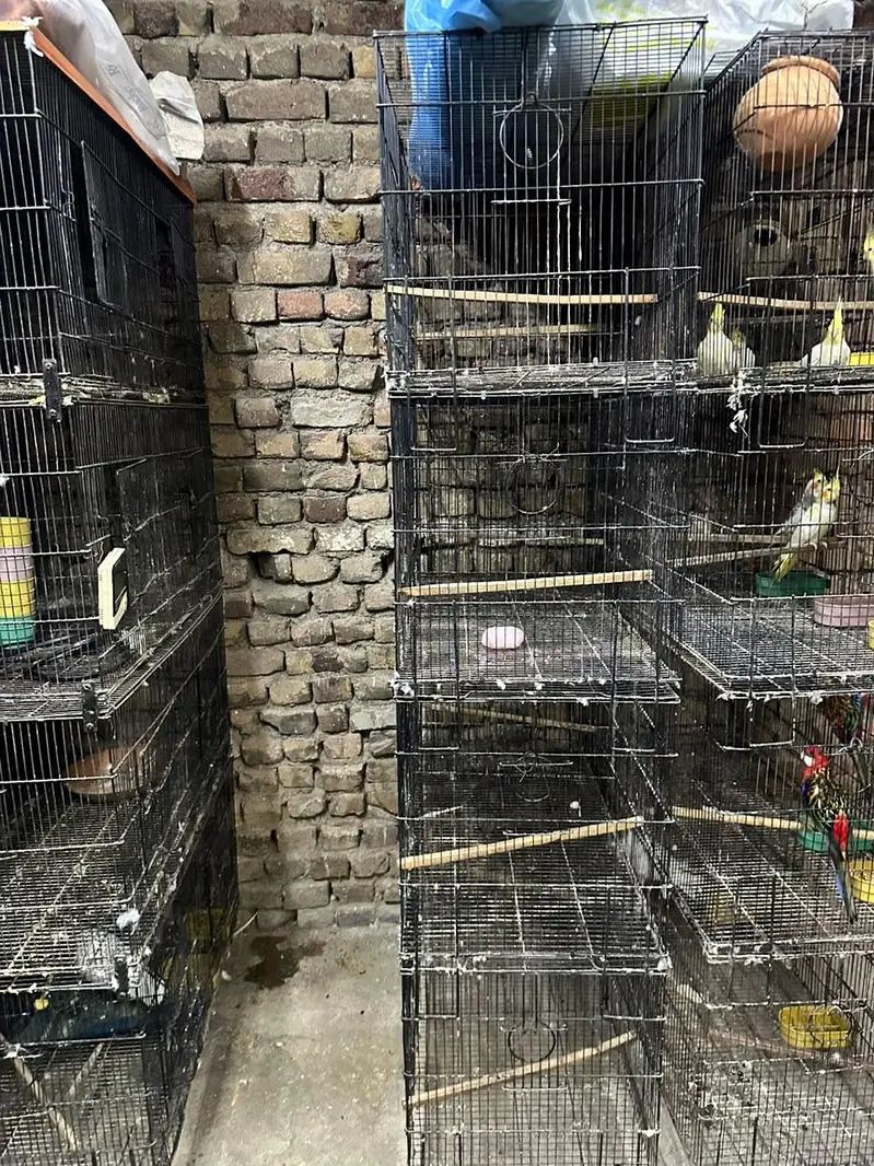 4×4 cages — photo 2
