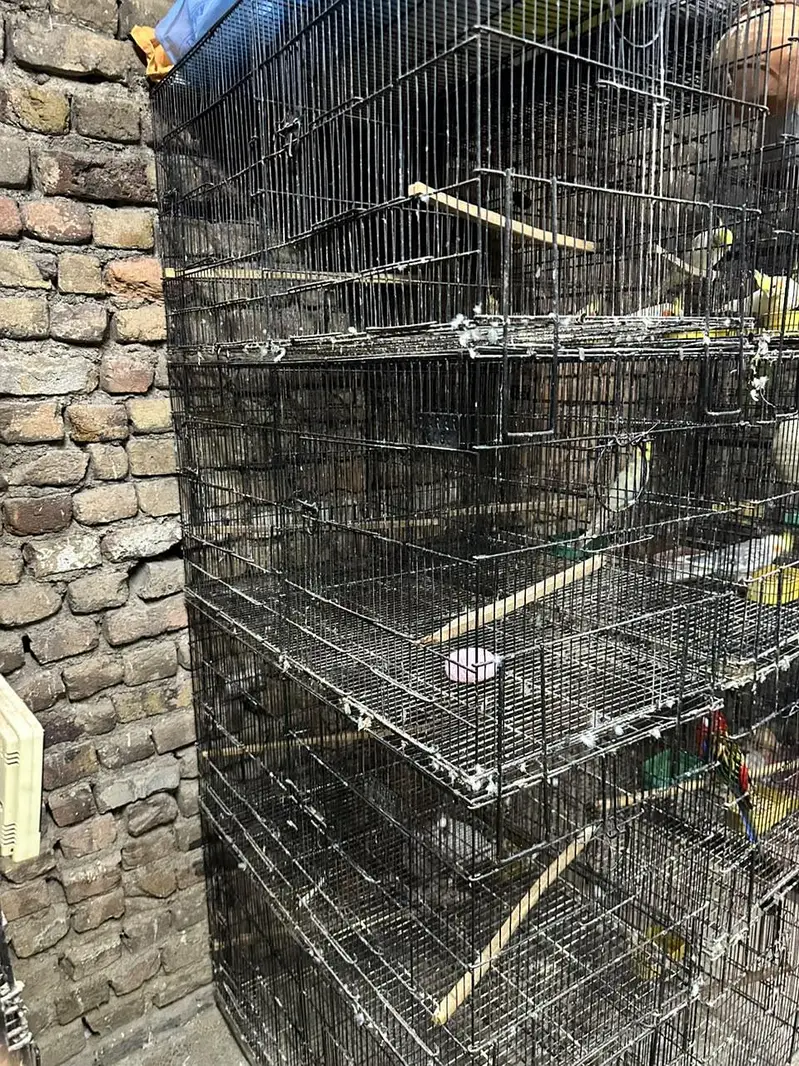 4×4 cages — photo 3