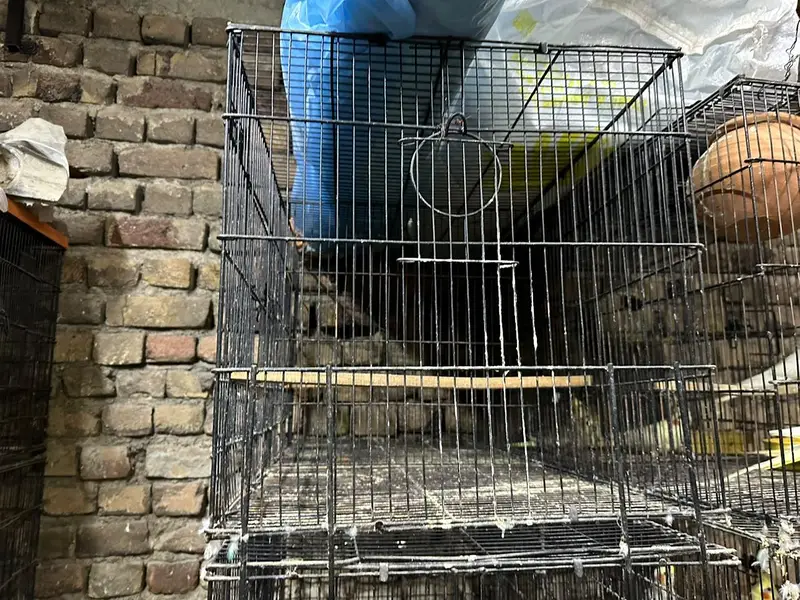 4×4 cages — photo 4