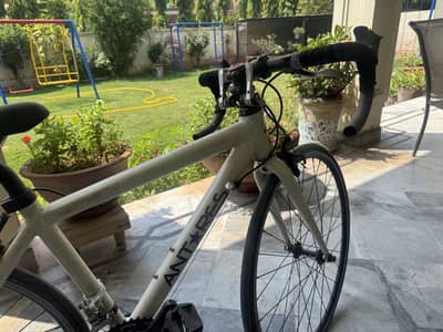 Bicycle imported urgent for sale