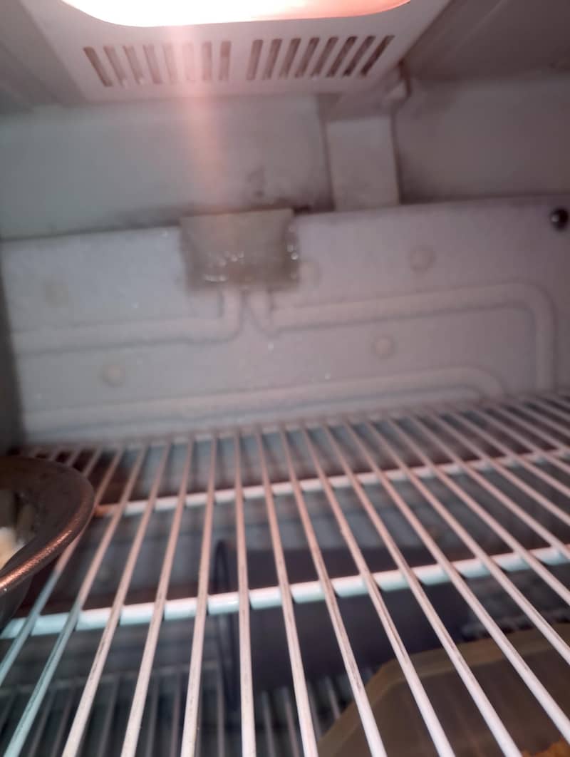 Medium fridge 0