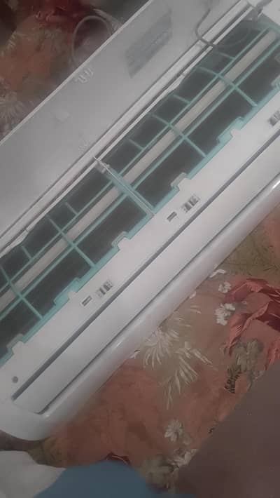 only2 year use