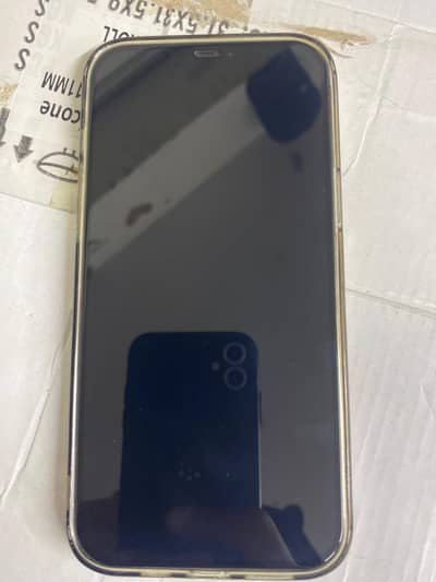 Apple iPhone 12 Pro Max