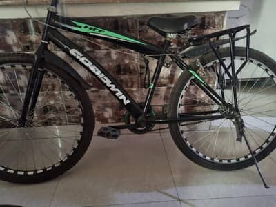 Mountain Cycle