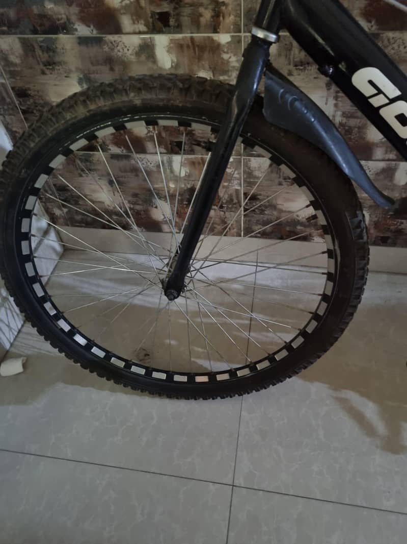 Mountain Cycle 2