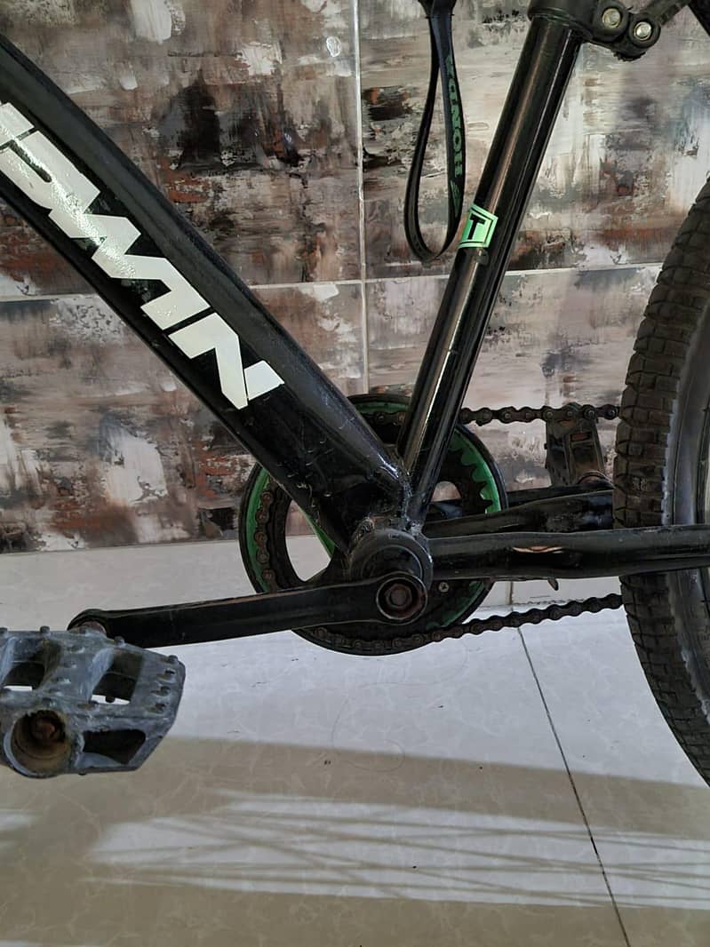 Mountain Cycle 4