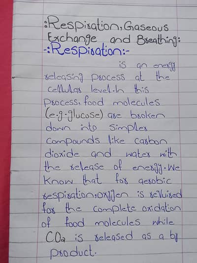 Assignment hand writing
