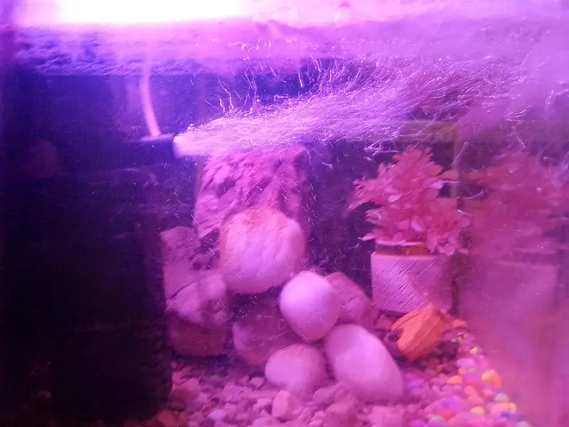 aquarium — photo 3