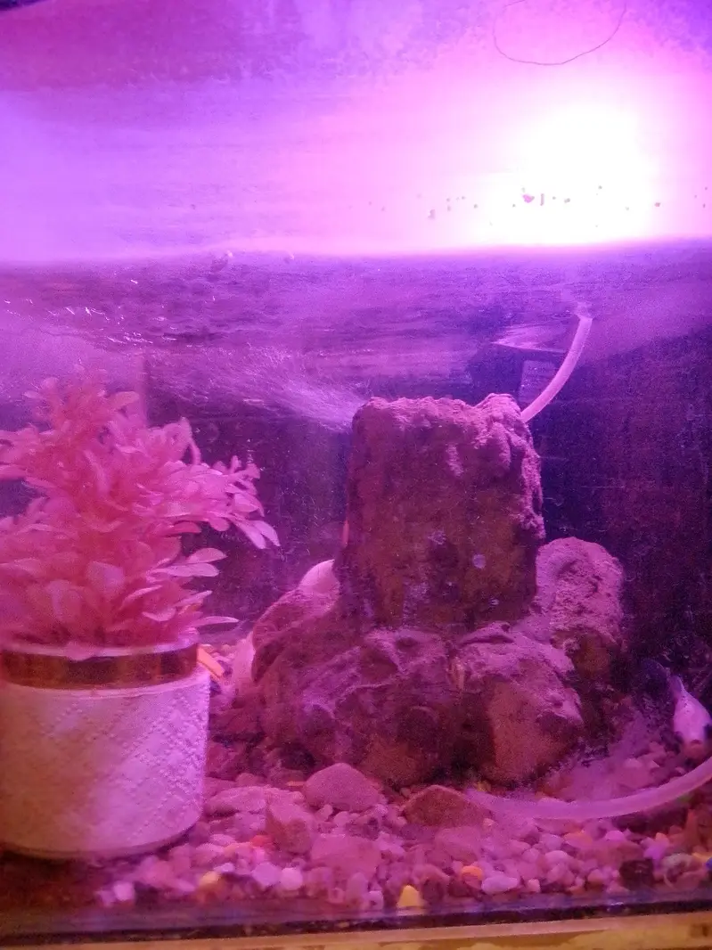 aquarium — photo 4