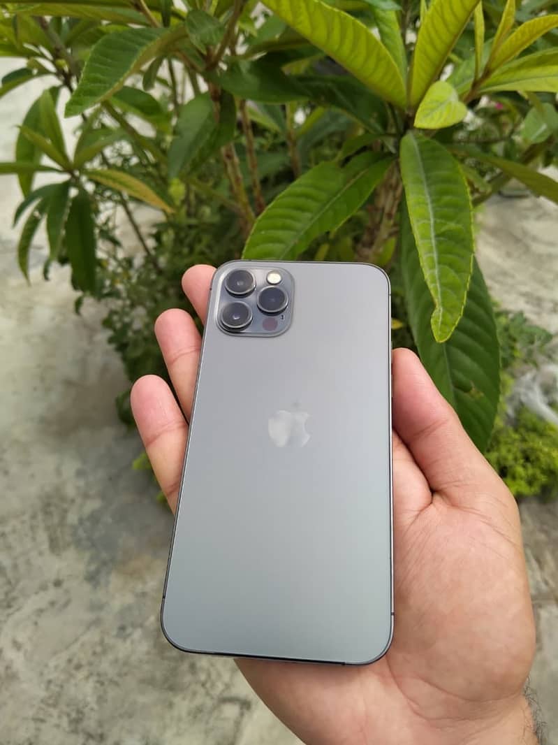 iPhone 12 pro 0