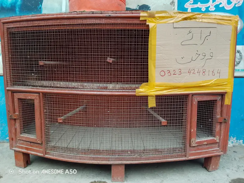 Large Cage for Birds — photo 3