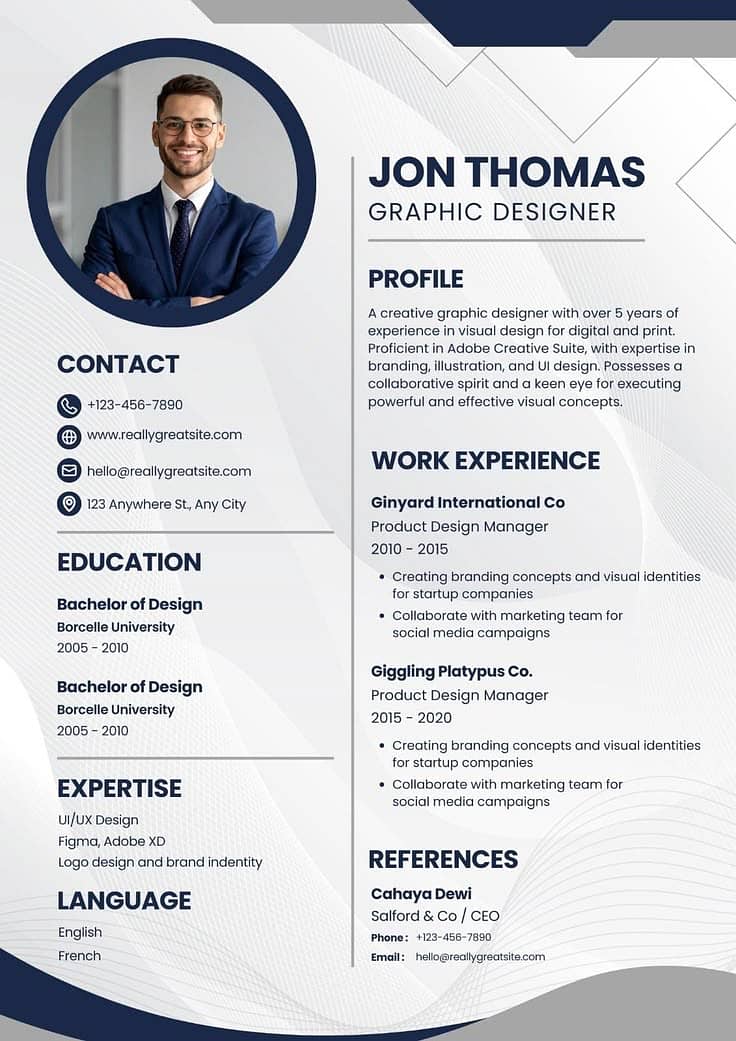 Professional Cv 0