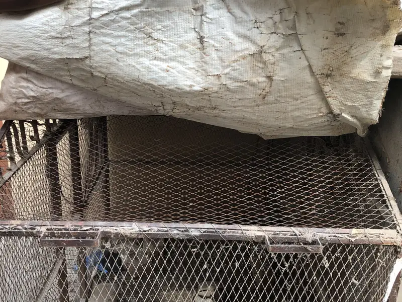 STEEL PINJARA — photo 3