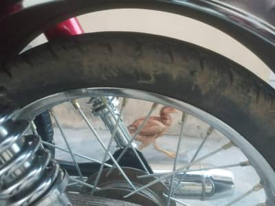 United 70cc bike