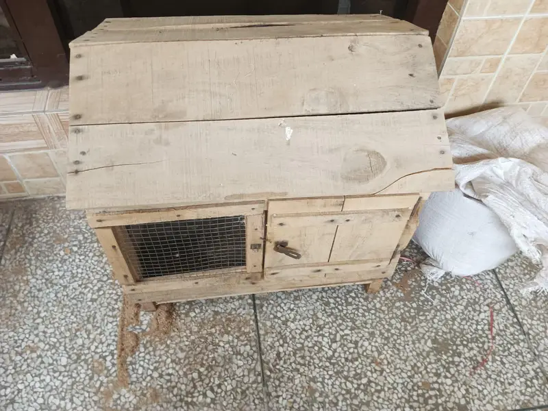 Hen, pigeon, parrot cage for sale — photo 2