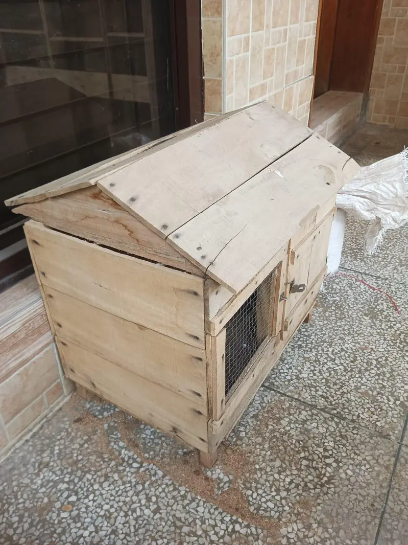 Hen, pigeon, parrot cage for sale — photo 3