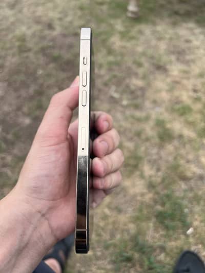Apple iPhone 12 Pro Max