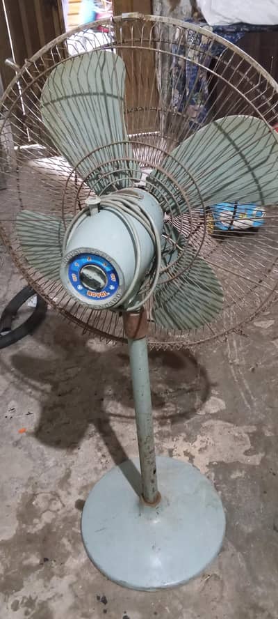 Royal fan