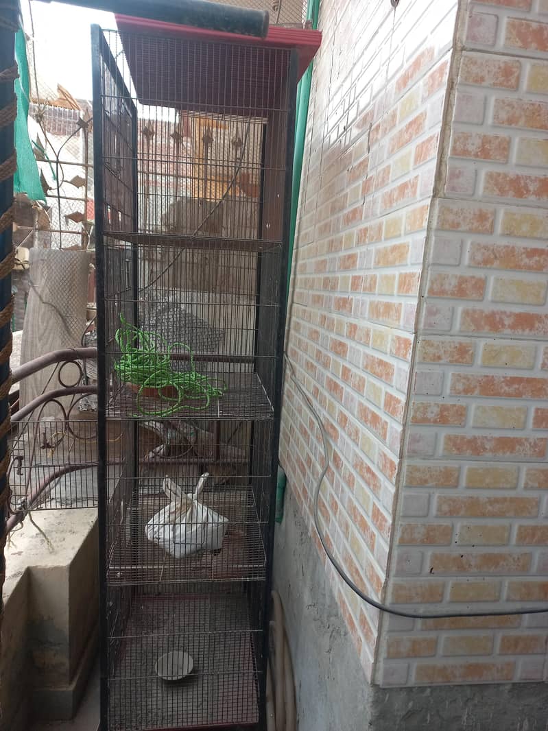 4 portion cage available 0