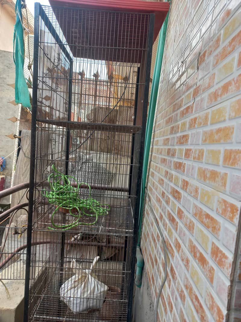 4 portion cage available 1