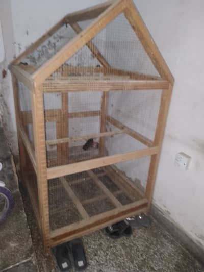 birds cage for sale