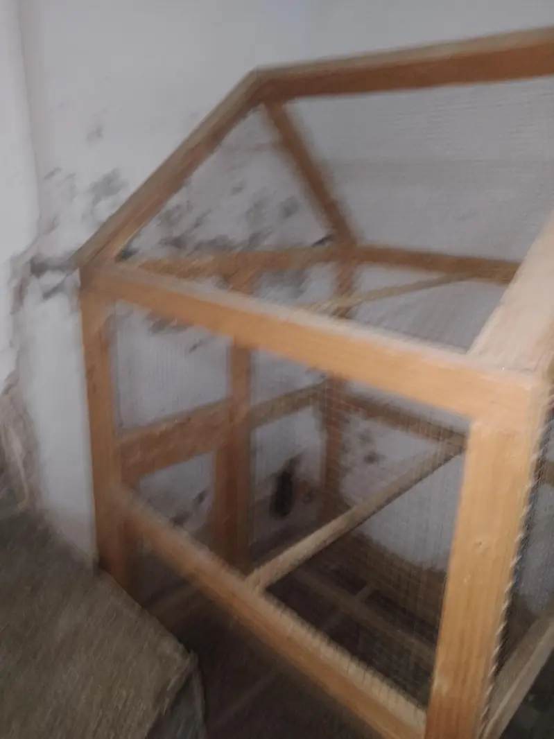birds cage for sale — photo 3