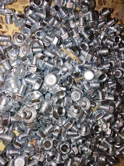 Chain Cover bolt