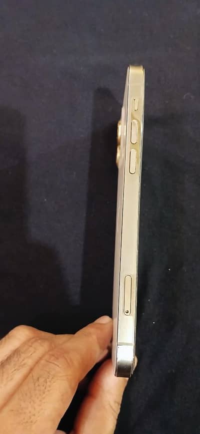 Apple iPhone 12 Pro