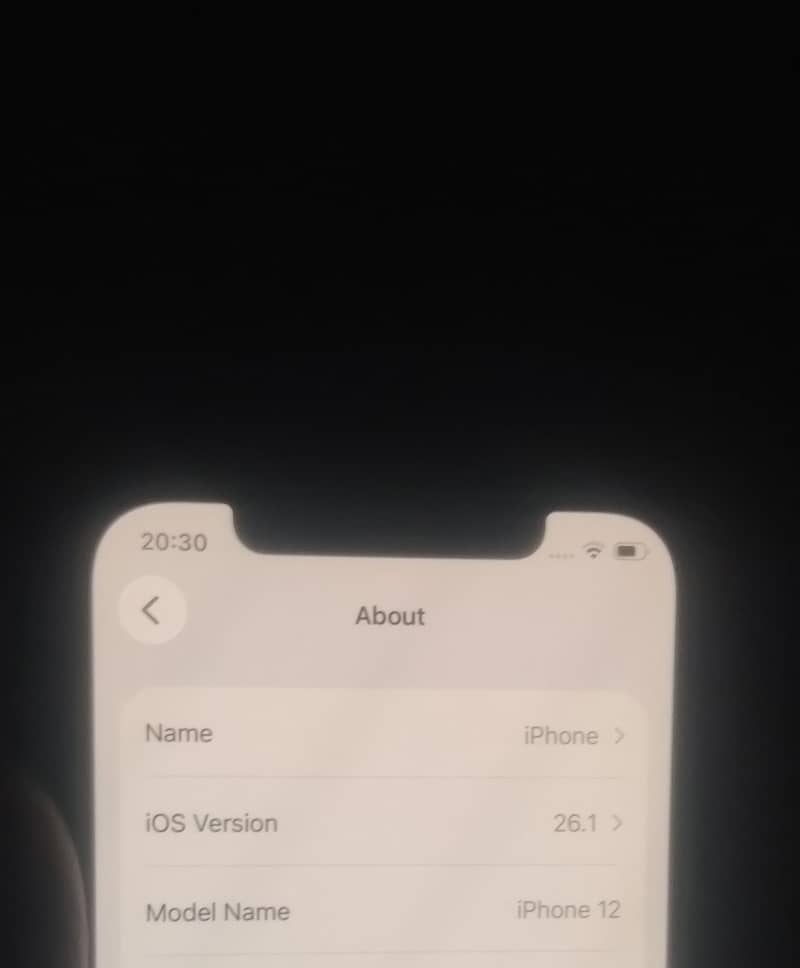 Apple iPhone 12 8