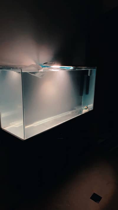 4.5 ft x 1.5 ft aquarium