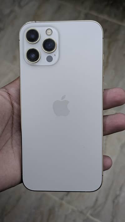IPHONE 12 PRO MAX