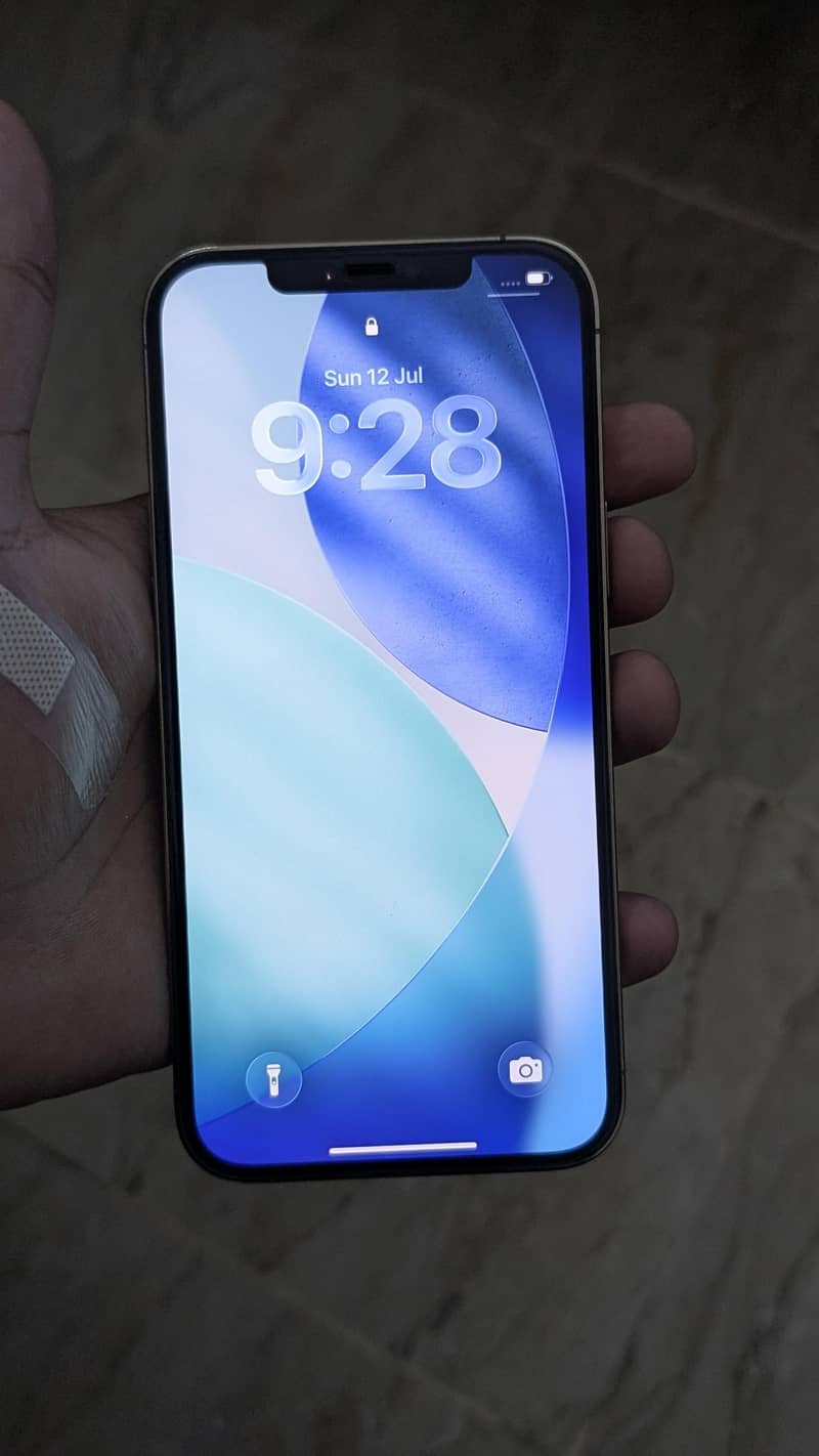 IPHONE 12 PRO MAX 1