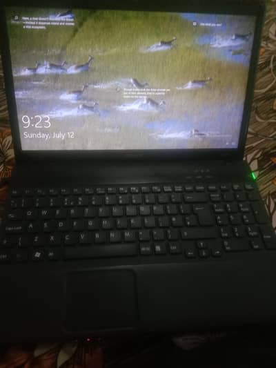 urgent dor sale