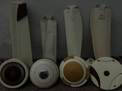 1 fans 6000
