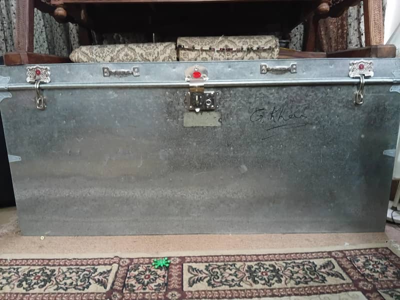 storage trunk 1