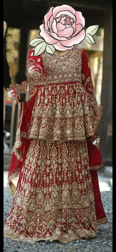 Beautiful BARAT DRESS