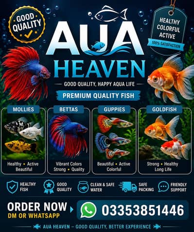 Molly,gold fish,guppies,betta